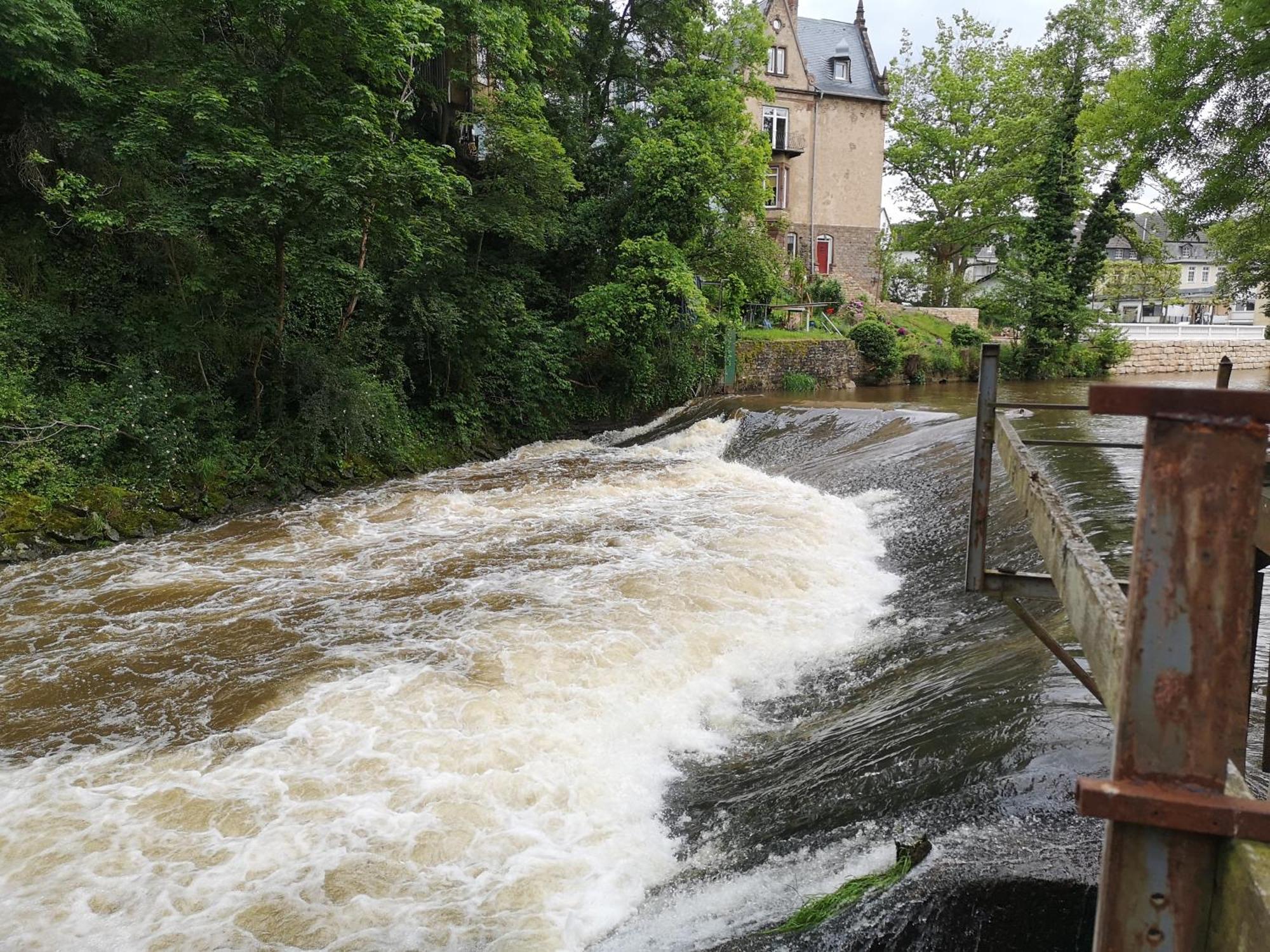 Ferienwohnung In Waldrandlage In Nationalpark Schleiden / Eifel エクステリア 写真