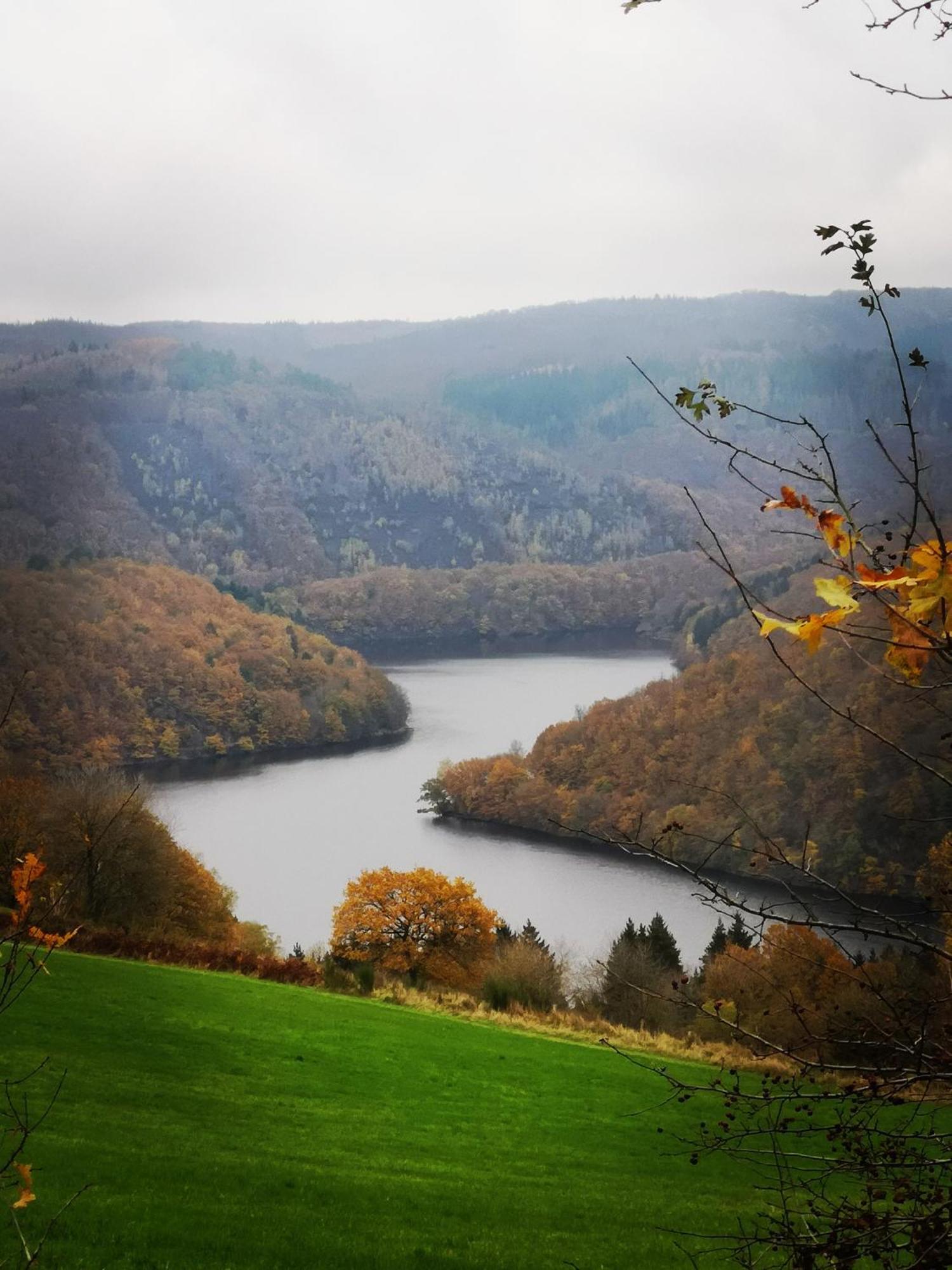 Ferienwohnung In Waldrandlage In Nationalpark Schleiden / Eifel エクステリア 写真